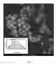 Fig. 05 - Solution based synthesis of copper-arsenic-chalcogen derived nanoparticles