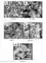 Fig. 12 - Solution based synthesis of copper-arsenic-chalcogen derived nanoparticles