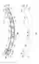 Fig. 02 - Nozzle cap multi-band antenna assembly