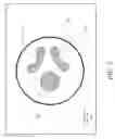 Fig. 07 - Switchable transmit and receive phased array antenna with high power and compact size