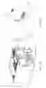 Fig. 28 - Method and apparatus for the detection of distortion or corruption of cellular communication signals