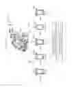 Fig. 446 - Reproduction method for reproducing contents