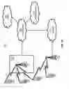 Fig. 02 - Anchoring IP devices in ICN networks