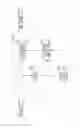 Fig. 43 - Image decoder, image decoding method, image encoder, and image encode method