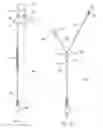 Fig. 02 - Ergonomic earpiece