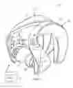 Fig. 02 - Wireless in-ear headphones