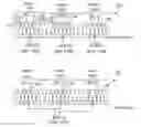 Fig. 01 - Multiplexed unequal error protection for wireless networks