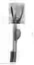 Fig. 02 - Flexible Small-Diameter Self-Regulating Heater Cable