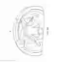 Fig. 08 - Multi-mode trimmer head