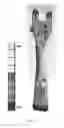 Fig. 06 - Arrangement in boom system