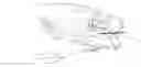 Fig. 01 - FISH HOOK STOPPER