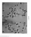 Fig. 17 - Pollen field conditioning and preservation method