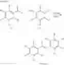 Fig. 08 - MOLECULES THAT INDUCE DISEASE RESISTANCE IN PLANTS