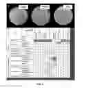 Fig. 07 - BACTERIAL ENDOPHYTES FROM CUCURBIT SPECIES