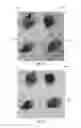 Fig. 07 - EDIBLE FOOD PRESERVATIVE