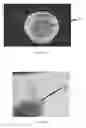 Fig. 03 - Edible compositions and methods