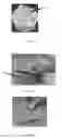 Fig. 04 - Edible compositions and methods