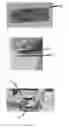 Fig. 06 - Edible compositions and methods