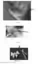 Fig. 09 - Edible compositions and methods