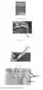 Fig. 12 - Edible compositions and methods