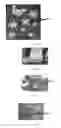 Fig. 15 - Edible compositions and methods