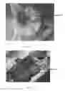 Fig. 27 - Edible compositions and methods