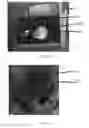 Fig. 30 - Edible compositions and methods