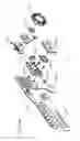 Fig. 37 - Head Gear