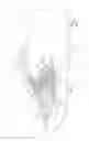 Fig. 02 - Shoe having upper and sole