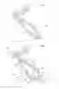 Fig. 09 - Shoe having upper and sole