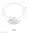 Fig. 11 - WIRELESSLY CONTROLLED COOKING SYSTEM