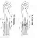 Fig. 15 - Physiological measurement using wearable device