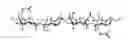 Fig. 02 - Methods for Preventing Retropulsion of Concretions and Fragments During Lithotripsy