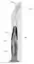 Fig. 01 - Standing Tongue Cleaner