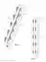 Fig. 02 - Integral double rod spinal construct