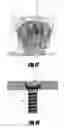Fig. 09 - BONE FIXATION SYSTEM AND A PLATE THEREFOR