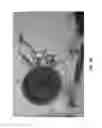 Fig. 15 - Patient reference tool for rapid registration
