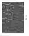 Fig. 09 - Durable high strength polymer composites suitable for implant and articles produced therefrom