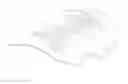 Fig. 01 - Surgical membrane