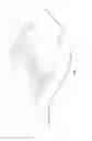 Fig. 07 - Surgical membrane
