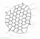 Fig. 29 - Bone implants for correcting bone defects