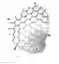 Fig. 33 - Bone implants for correcting bone defects