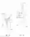 Fig. 09 - Elbow prosthesis