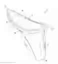 Fig. 01 - Female Urinal Apparatus