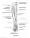 Fig. 18 - Cryogenic enhancement of joint function, alleviation of joint stiffness and/or alleviation of pain associated with osteoarthritis