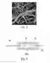 Fig. 04 - Portable electrospinning device
