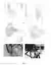 Fig. 06 - UNIVERSAL SECURING MECHANISM FOR WHEELED MOBILITY SYSTEMS OR SIMILAR SYSTEMS AND RELATED POSTURAL SUPPORTS