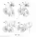 Fig. 09 - UNIVERSAL SECURING MECHANISM FOR WHEELED MOBILITY SYSTEMS OR SIMILAR SYSTEMS AND RELATED POSTURAL SUPPORTS