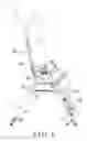 Fig. 07 - Tilting inversion exerciser