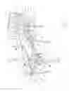 Fig. 07 - SUPPORT APPARATUS FOR A SUBJECT AND A METHOD FOR SUPPORTING A SUBJECT IN A SUBSTANTIALLY INVERTED STATE